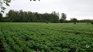 Terreno, foto 4