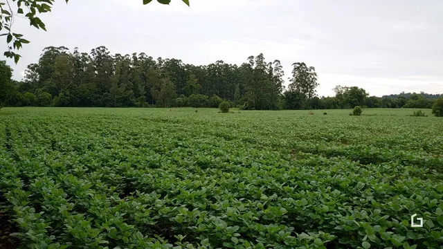 Terreno, foto 4