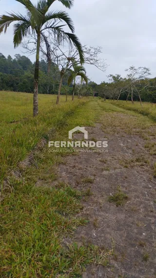 Área rural com 2 dormitórios, foto 13