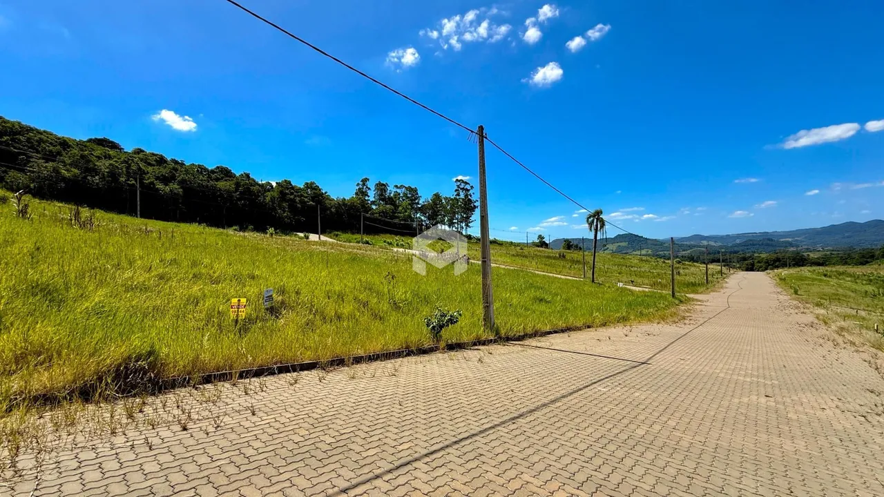 Paisagem de campo com vegetação verde e estrada no Brasil.