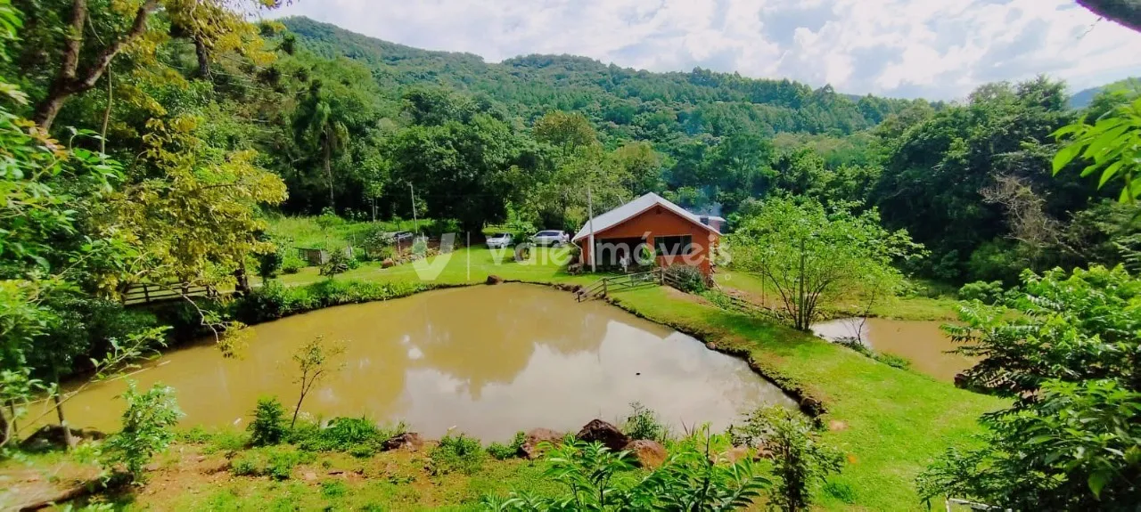 Área rural com 3 dormitórios, foto 1