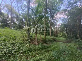 Área rural, foto 22
