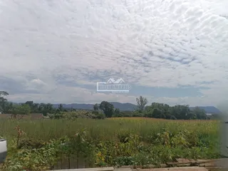 Vista de uma área de campo verde com vegetação no horizonte.