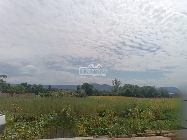 Vista de uma área de campo verde com vegetação no horizonte.