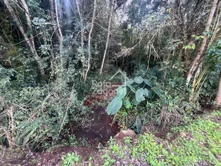 Terreno, foto 4