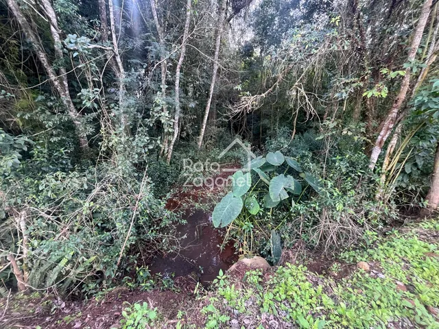 Terreno, foto 4