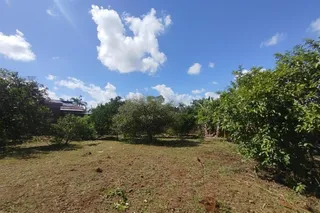 Terreno, foto 4