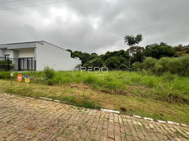 Vista externa de uma residência branca com vegetação alta no primeiro plano.