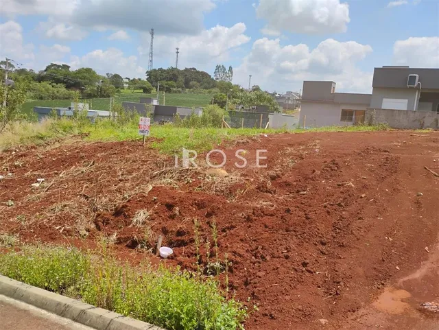 Terreno, foto 2