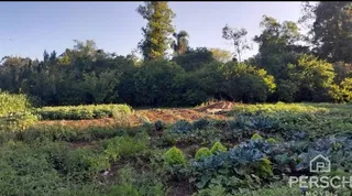 Área rural, foto 5