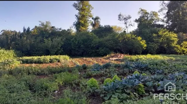 Área rural, foto 5