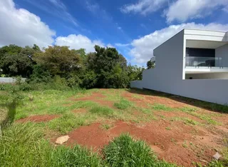 Vista de um terreno aberto com terra vermelha e vegetação rasteira.