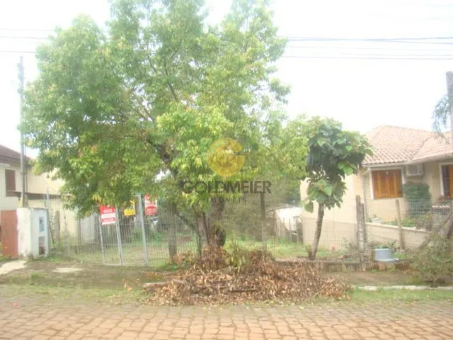 Terreno, foto 5