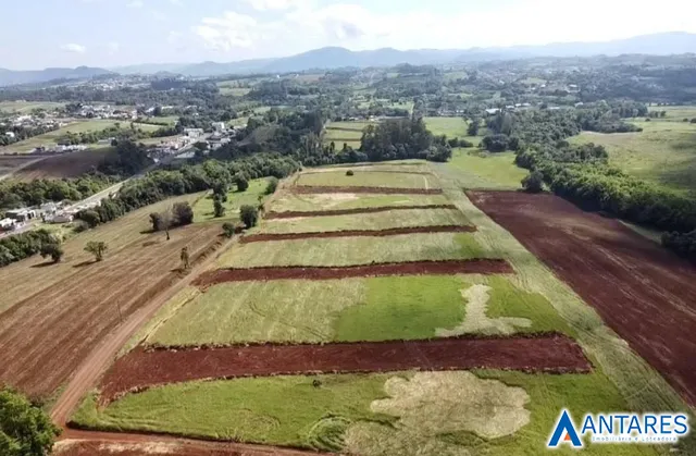 Terreno, foto 1