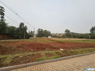 Terreno, foto 3
