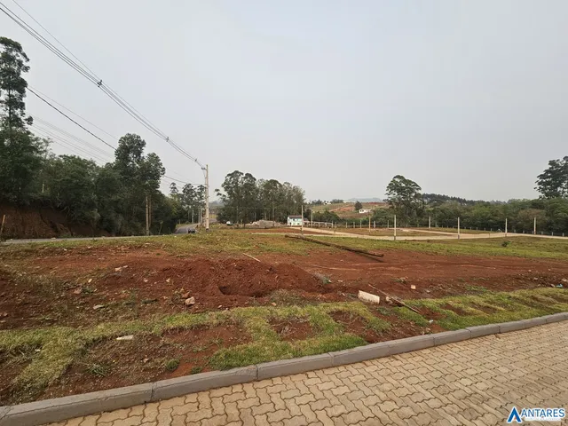Terreno, foto 3