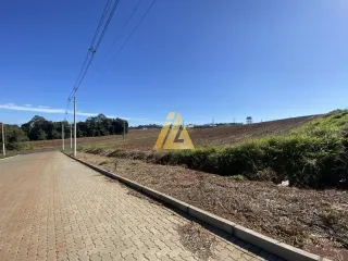 Terreno, foto 3