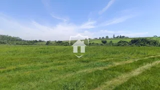 Paisagem de campos verdes e vegetação sob um céu azul.