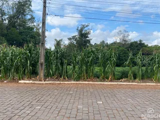 Terreno, foto 5