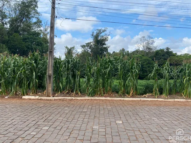 Terreno, foto 5
