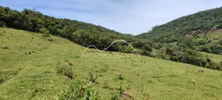 Área rural, foto 6