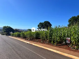 Vista externa da rua com vegetação alta ao fundo sob um céu azul.