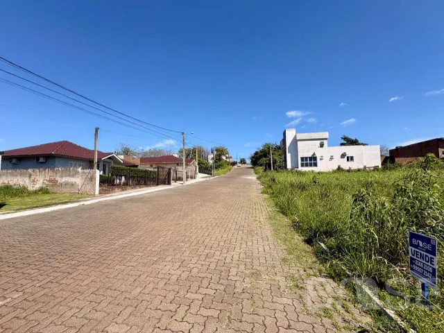Terreno, foto 2