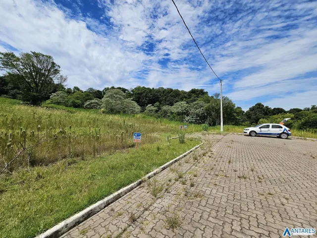 Terreno, foto 3