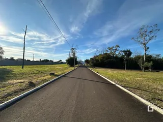 Vista de uma estrada alinhada com vegetação ao ar livre.