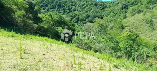 Terreno, foto 7