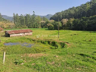 Área rural, foto 6