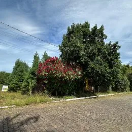 Vista externa mostrando árvores e vegetação em uma área ao ar livre.