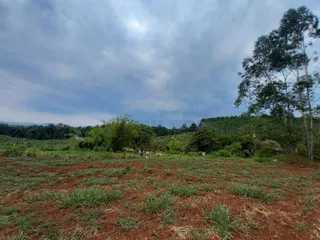 Terreno, foto 1