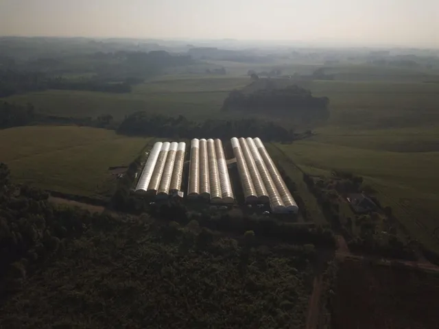Área rural, foto 3