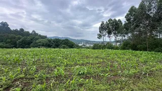 Área rural, foto 5