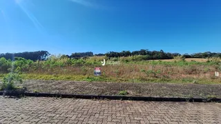 Terreno, foto 2