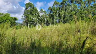 Área rural, foto 18