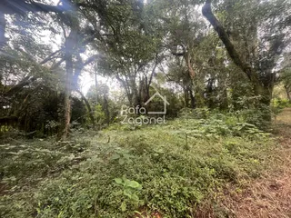 Terreno, foto 16