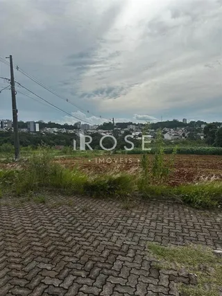 Terreno, foto 6