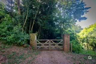 Área rural com 2 dormitórios, foto 29