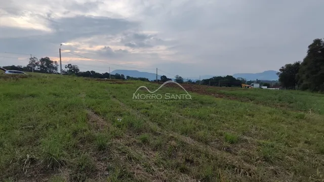 Vista de um campo gramado com vegetação sob um céu nublado.