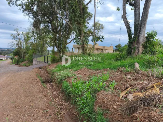 Terreno, foto 2