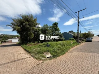 Vista externa da propriedade mostrando vegetação densa e uma área pavimentada.