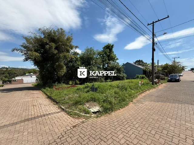 Vista externa da propriedade mostrando vegetação densa e uma área pavimentada.