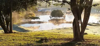 Área rural com 2 dormitórios, foto 10