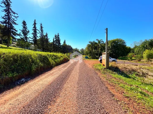 Uma estrada de terra atravessa uma área com vegetação densa e árvores.