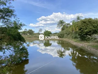 Vista de um corpo d'água com vegetação exuberante ao redor.