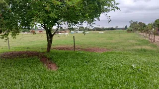 Área rural com 1 dormitório, foto 4