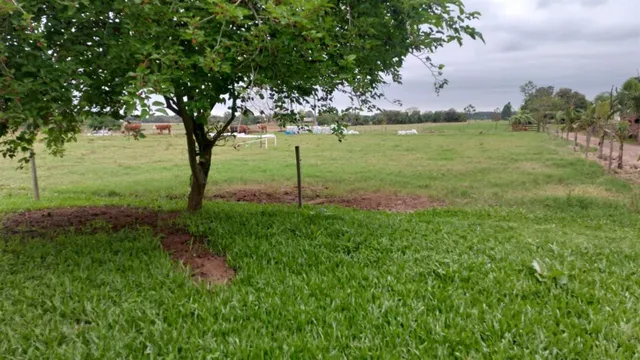 Área rural com 1 dormitório, foto 4