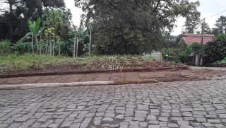 Terreno, foto 1